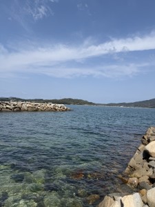 95467FA7-0471-4B7B-9245-1B562C491D58